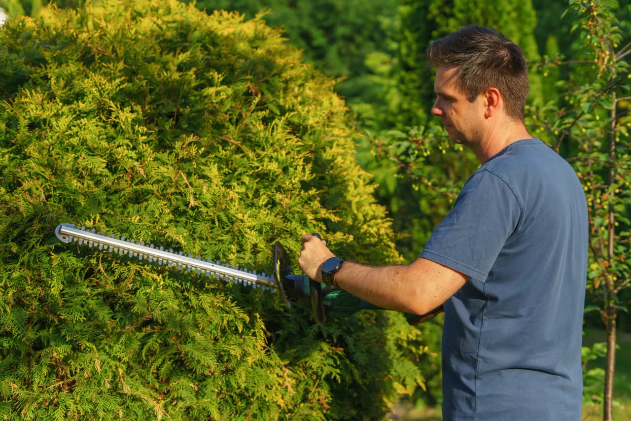 Heckenschnitt im Garten